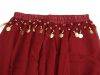 Shakira chiffon skirt ZZ