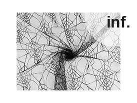 Spider Web Tulle Net / Spooky Fabric