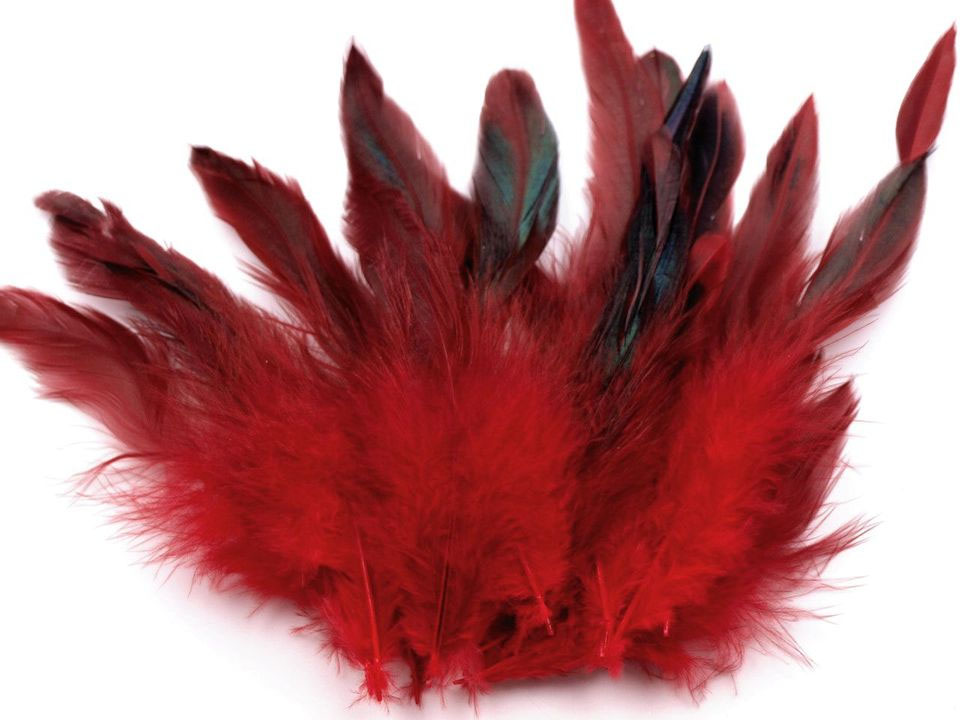Decorative Hen Feathers length 620 cm STOKLASA Haberdashery