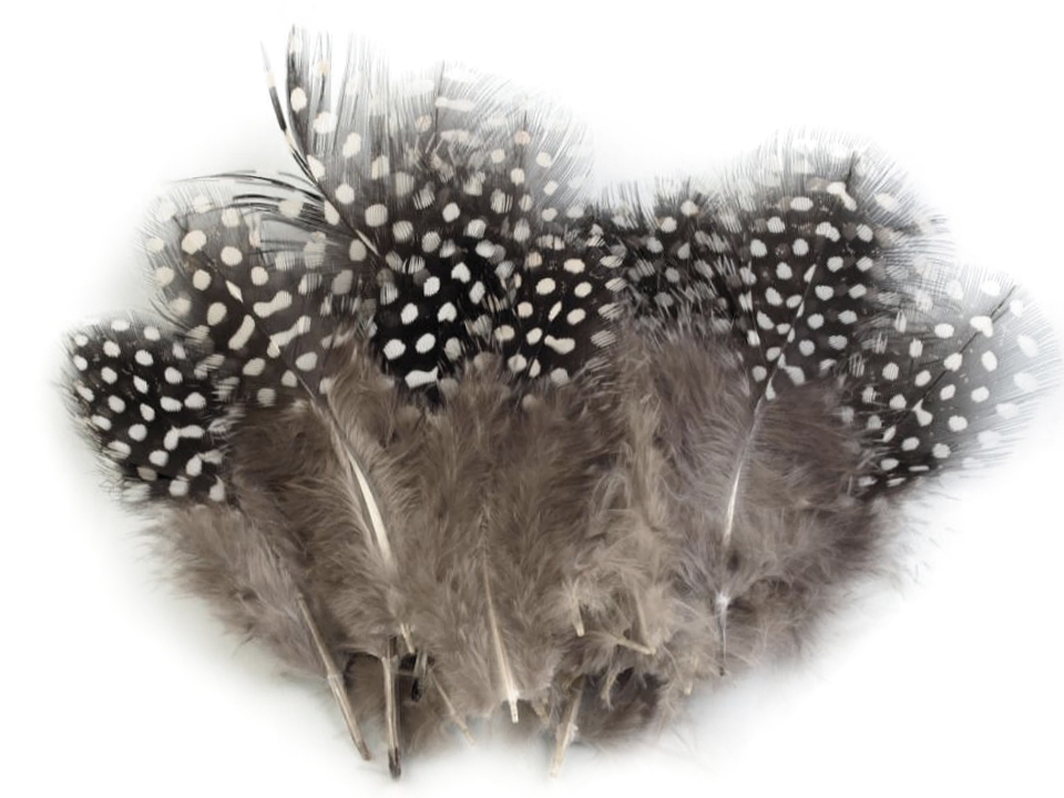 Decorative Hen Feathers length 813 cm STOKLASA Haberdashery