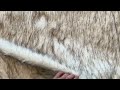 Fur fabric, Richard