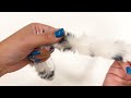 Round tufted clothing/decorative fur, animal pattern, width 4 cm