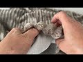 Plush upholstery fabric with stripes reinforced