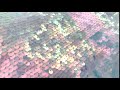 Sequin Fabric