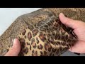 Animal pattern swimsuit fabric
