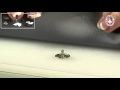Clip-on Buttons Ø17 mm Dressking
